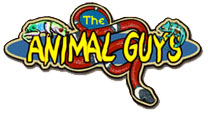 Animal guys