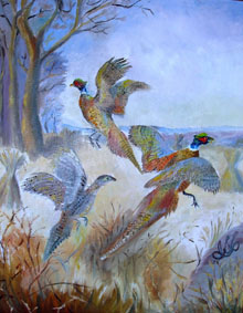 Birds